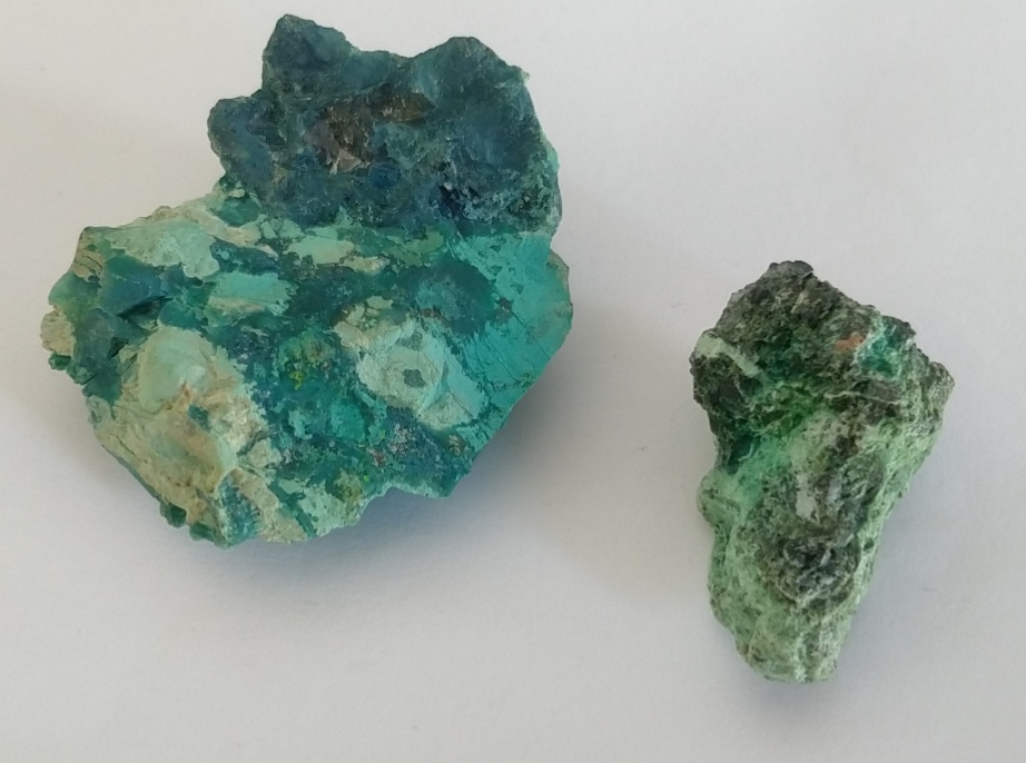 Chrysocolle Chrysocolle